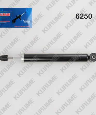 6250 - POSTERIOR DER - IZQ