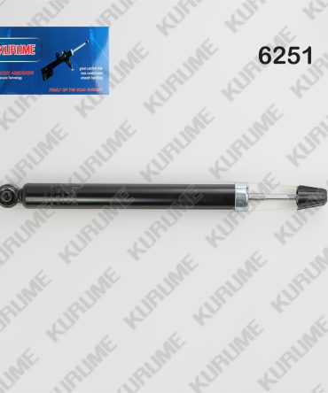 6251 - POSTERIOR DER - IZQ