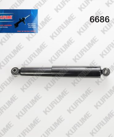 6686 - POSTERIOR DER - IZQ