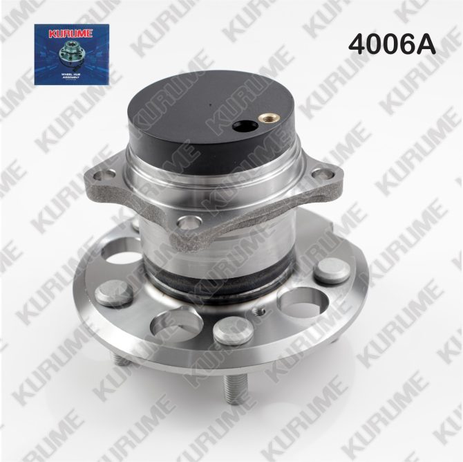 4006- POSTERIOR