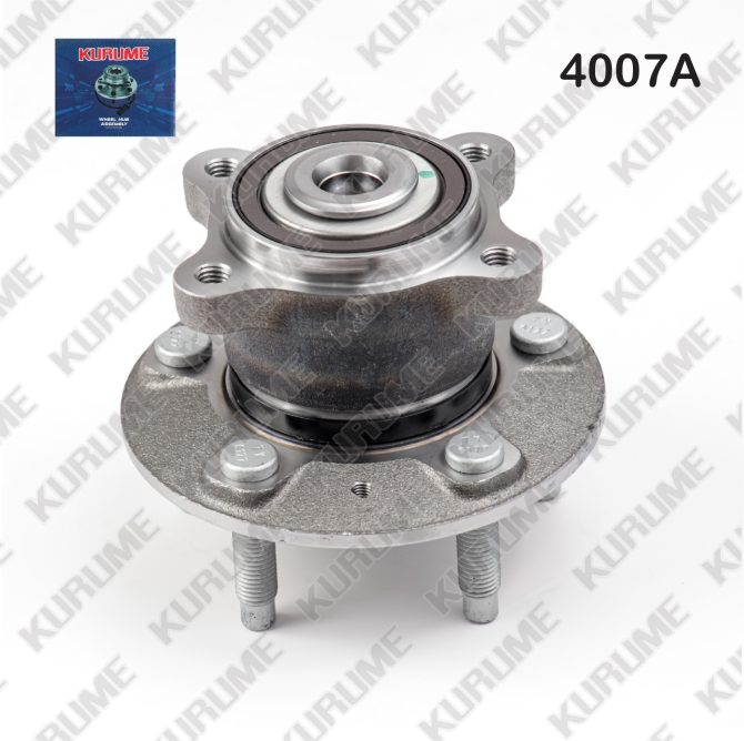 4007- POSTERIOR