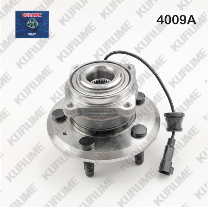 4009- POSTERIOR
