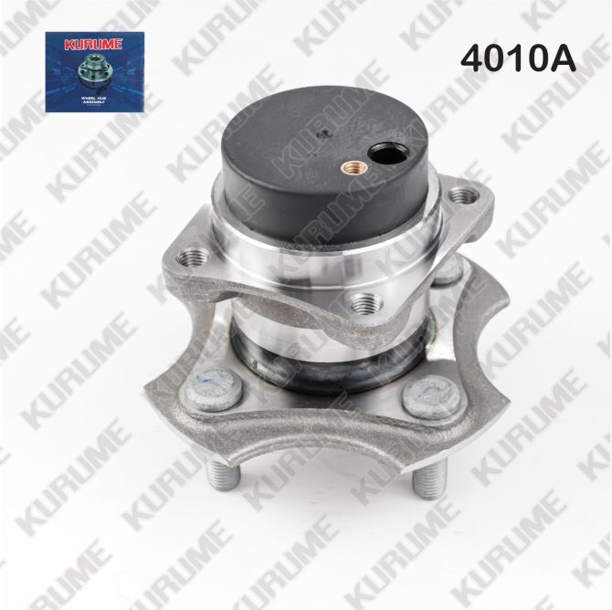 4010- POSTERIOR