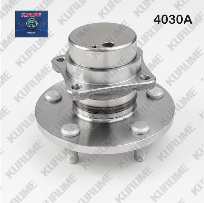 4030- POSTERIOR