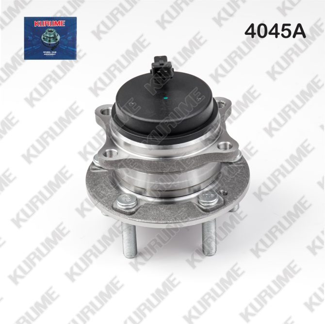4045- POSTERIOR