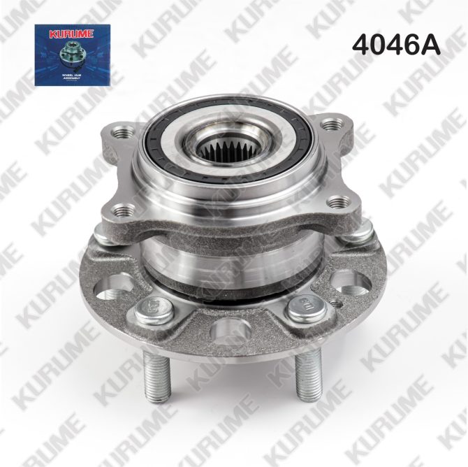 4046- POSTERIOR