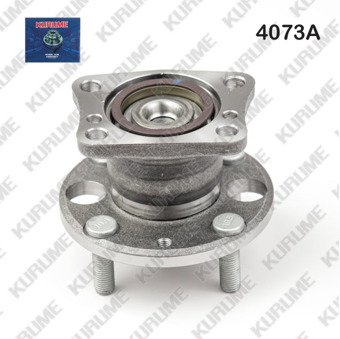 4073- POSTERIOR