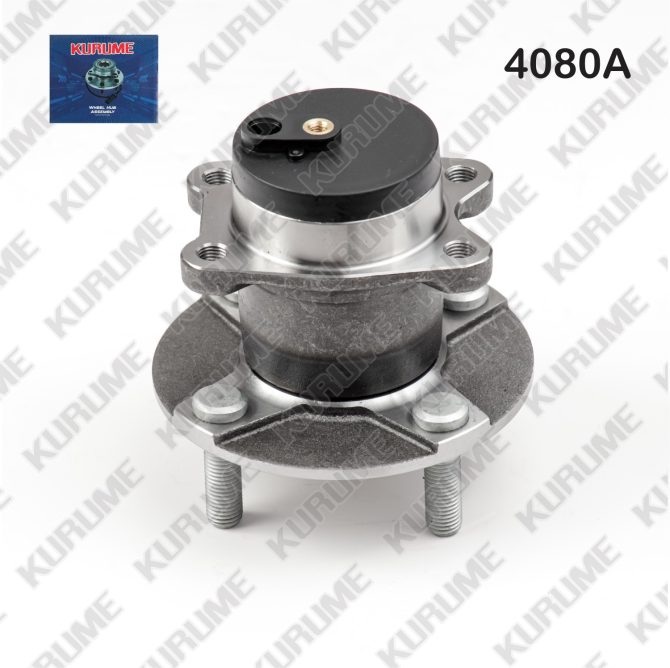 4080- POSTERIOR