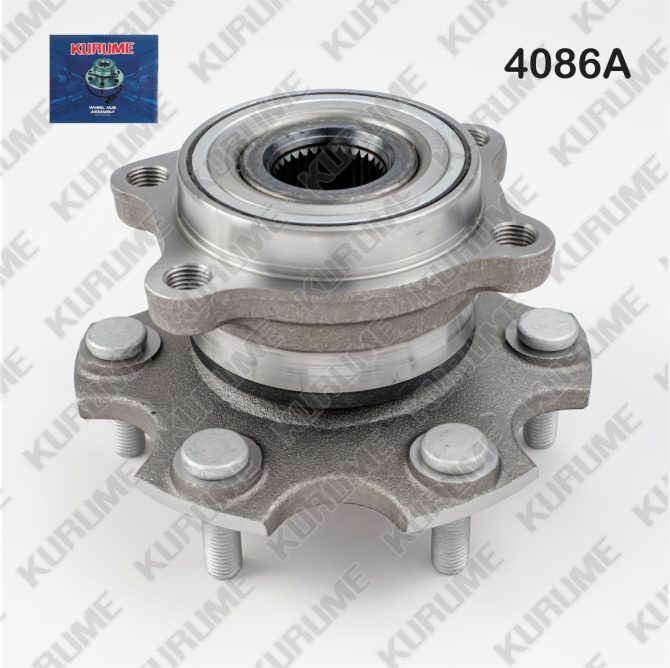 4086- POSTERIOR