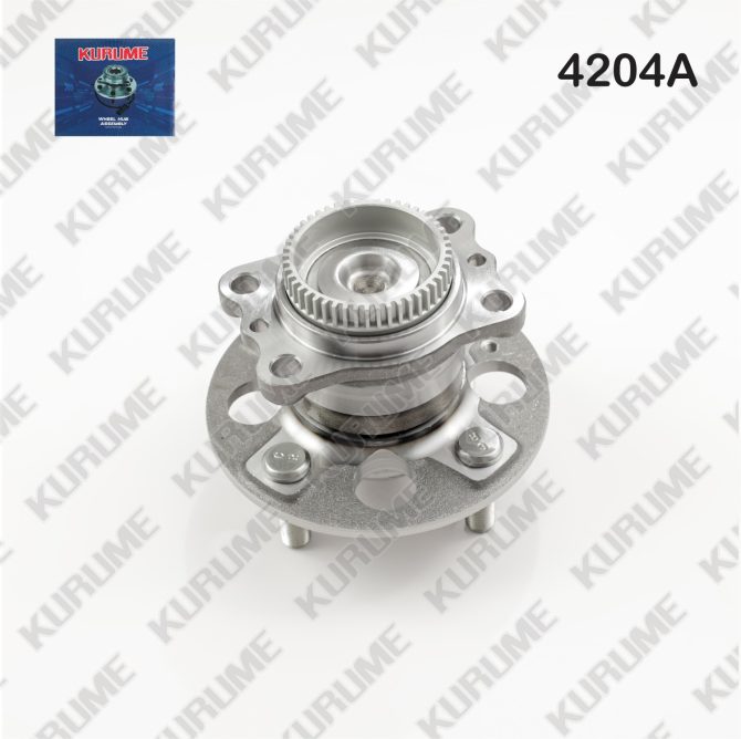 4204- POSTERIOR