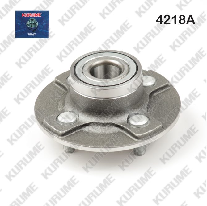 4218- POSTERIOR
