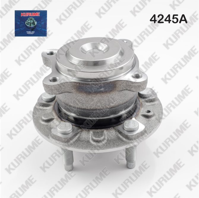 4245- POSTERIOR