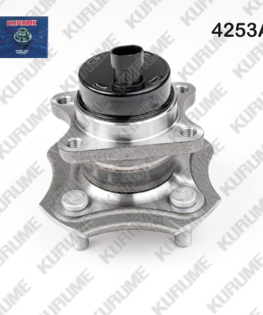 4253- POSTERIOR