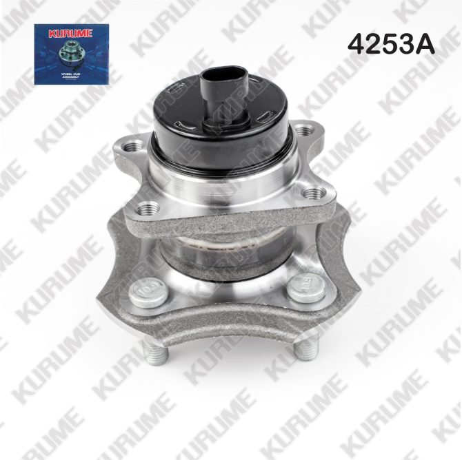 4253- POSTERIOR