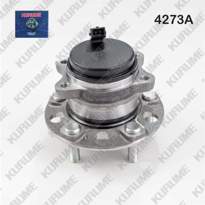 4273- POSTERIOR