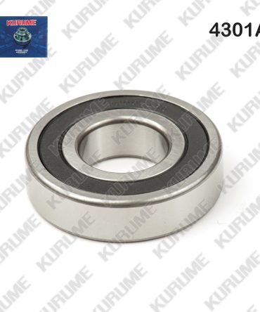 4301- POSTERIOR