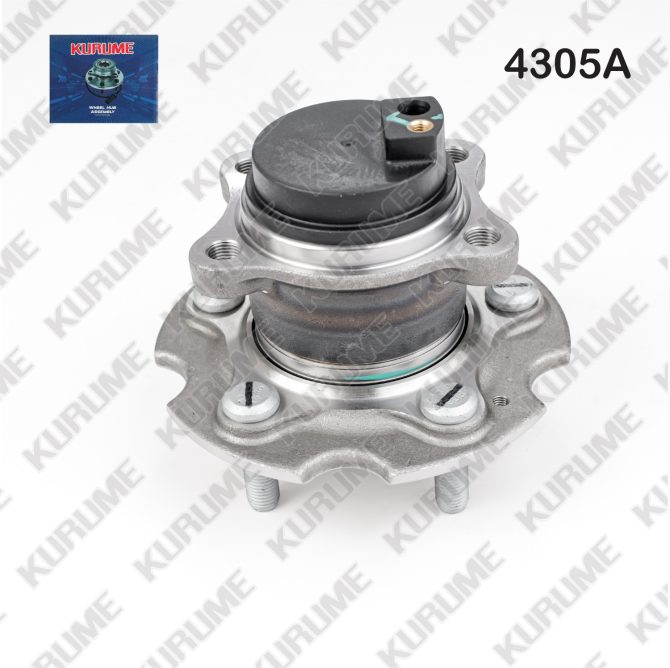 4305- POSTERIOR R