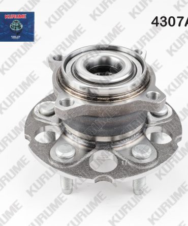 4307- POSTERIOR