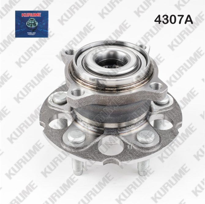 4307- POSTERIOR