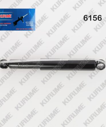 6156 - POSTERIOR R-L