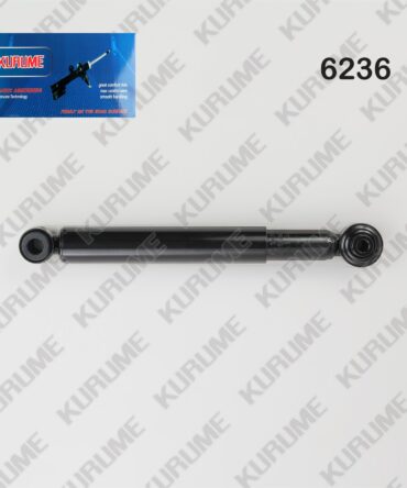 6236 - POSTERIOR DER - IZQ