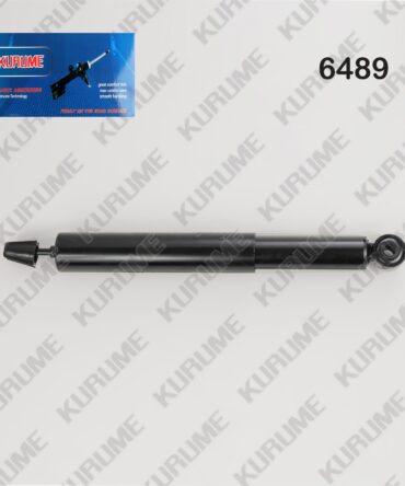 6489 - POSTERIOR R-L