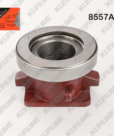 8557 - COLLARIN