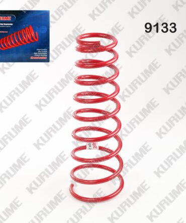 9133 - RESORTE POSTERIOR