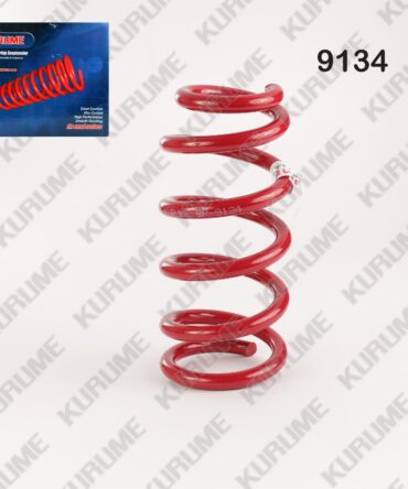 9134 - RESORTE POSTERIOR