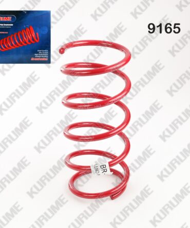 9165 - RESORTE POSTERIOR