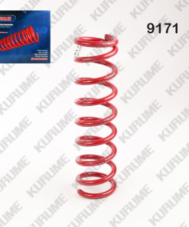 9171 - RESORTE POSTERIOR