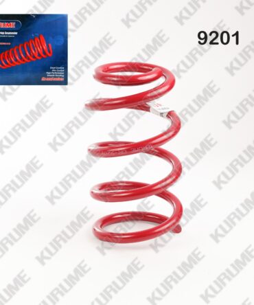 9201 - RESORTE POSTERIOR