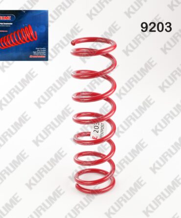 9203 - RESORTE POSTERIOR