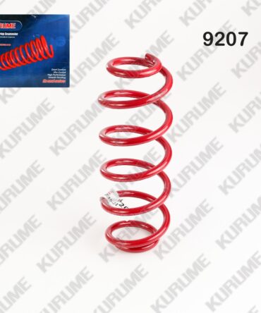 9207 - RESORTE POSTERIOR