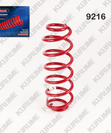 9216 - RESORTE POSTERIOR