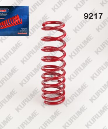 9217 - RESORTE POSTERIOR GNV