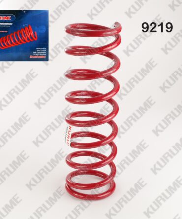9219 - RESORTE POSTERIOR
