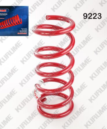 9223 - RESORTE POSTERIOR