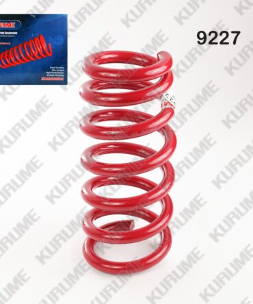 9227 - RESORTE POSTERIOR