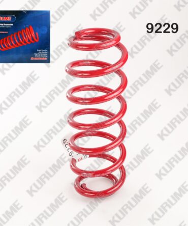 9229 - RESORTE POSTERIOR