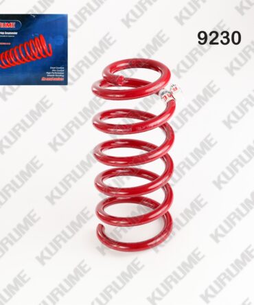9230 - RESORTE POSTERIOR