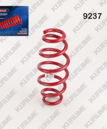 9237 - RESORTE POSTERIOR