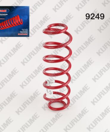 9249 - RESORTE POSTERIOR
