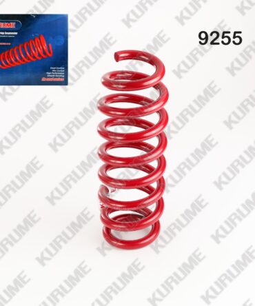 9255 - RESORTE POSTERIOR