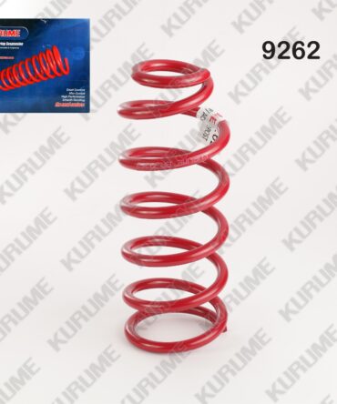 9262 - RESORTE POSTERIOR
