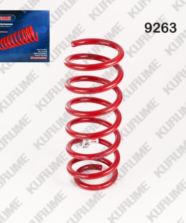 9263 - RESORTE POSTERIOR