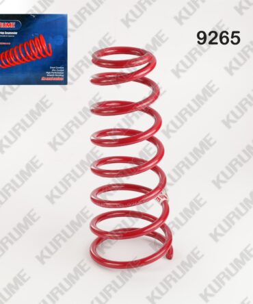 9265 - RESORTE POSTERIOR