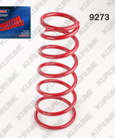 9273 - RESORTE POSTERIOR