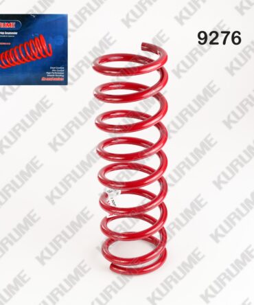 9276 - RESORTE POSTERIOR