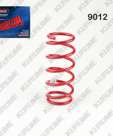 9012 - RESORTE POSTERIOR
